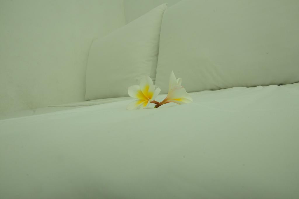 Villa Breeze Talpe Unawatuna Exterior photo